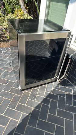Wine and beverage fridge