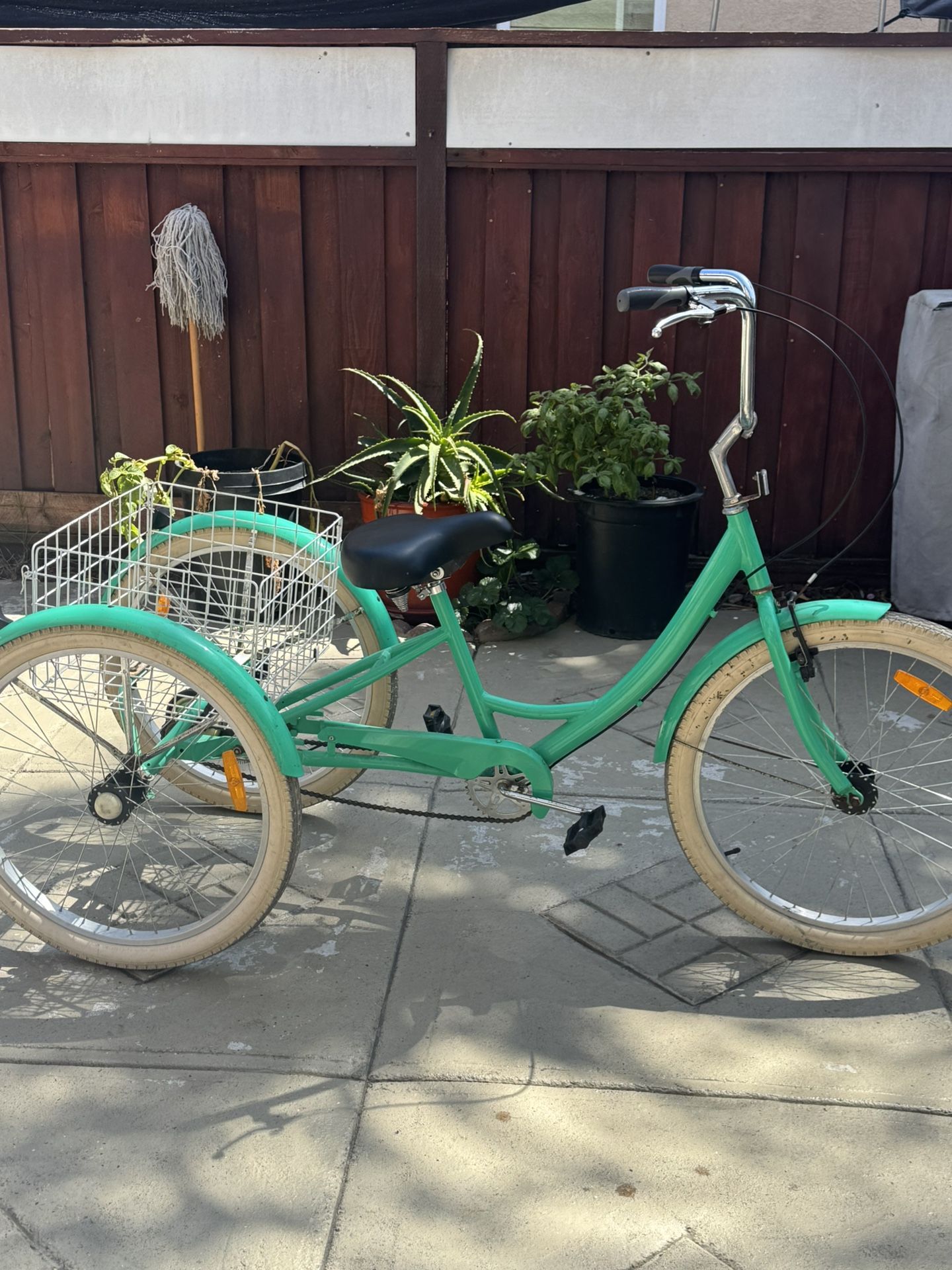 Adult Tricycle Bike