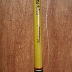 Ocean Fishing Pole And Reel