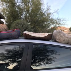 Three Small Dog Beds Choose One Or More Gently Used