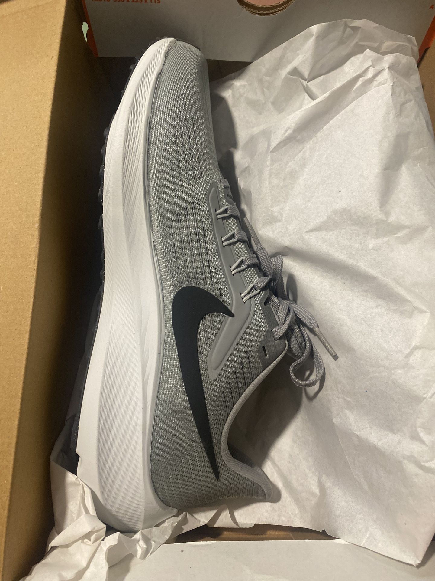 Brand New In Box Nike Air Pegasus 39