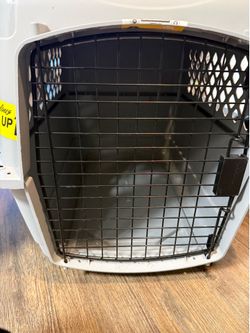 Dog kenel Airline Approved Dog Crate Small – Like New