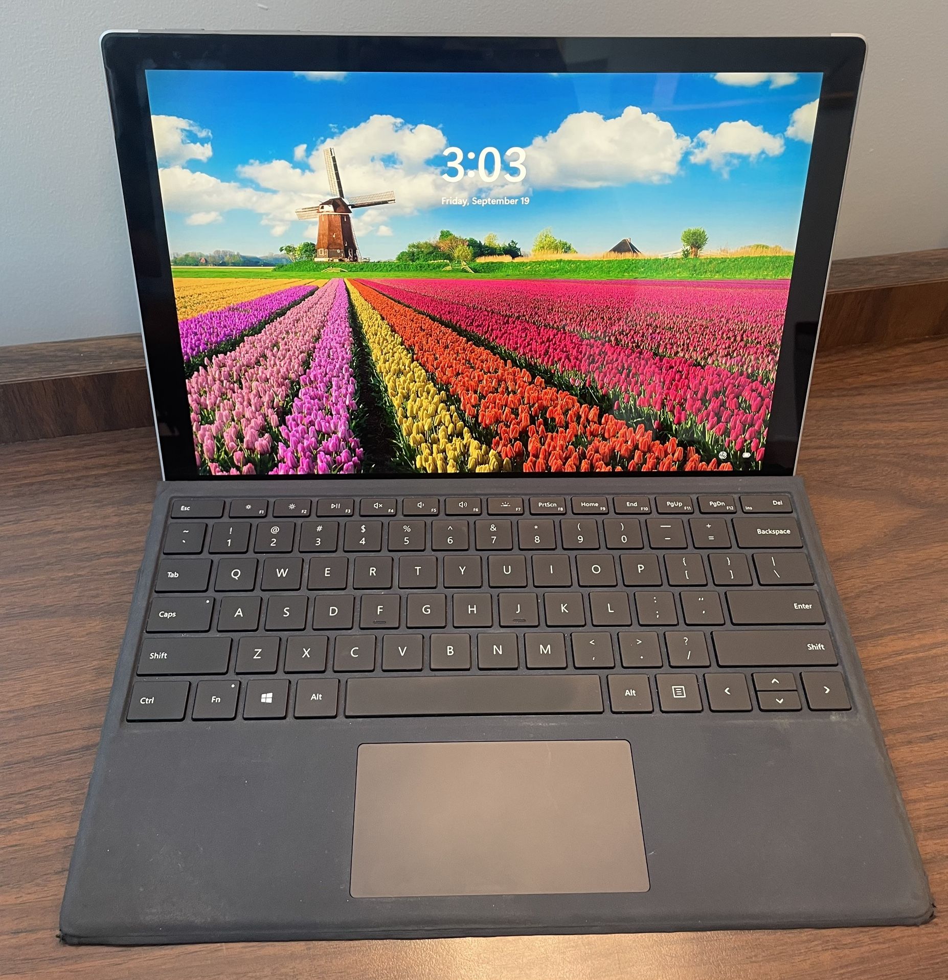 Microsoft Surface Pro  5th Gen 