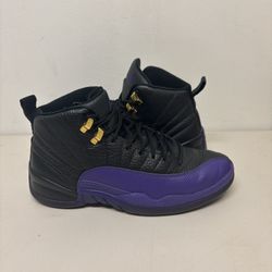 Air Jordan 12 Court Purple Size 9.5 $100