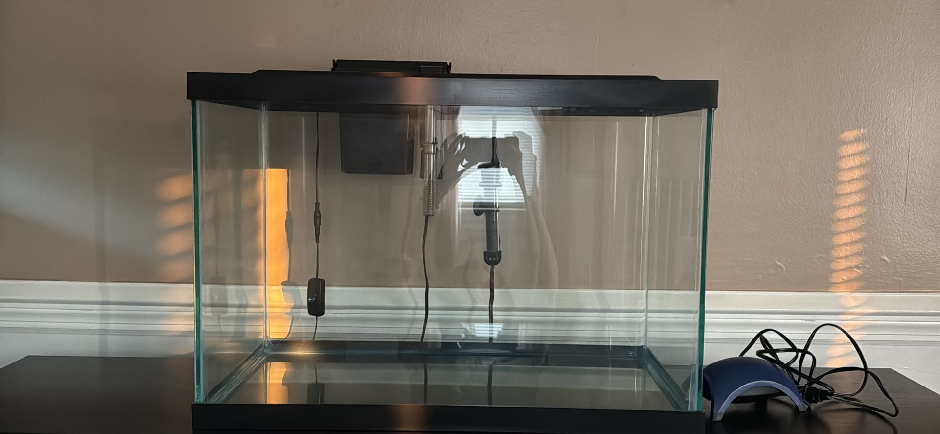 Fish Tank