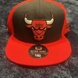 Bulls SnapBack