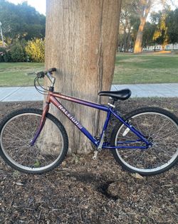 Raleigh USA M-50 Mountain Bike/ Made in the USA