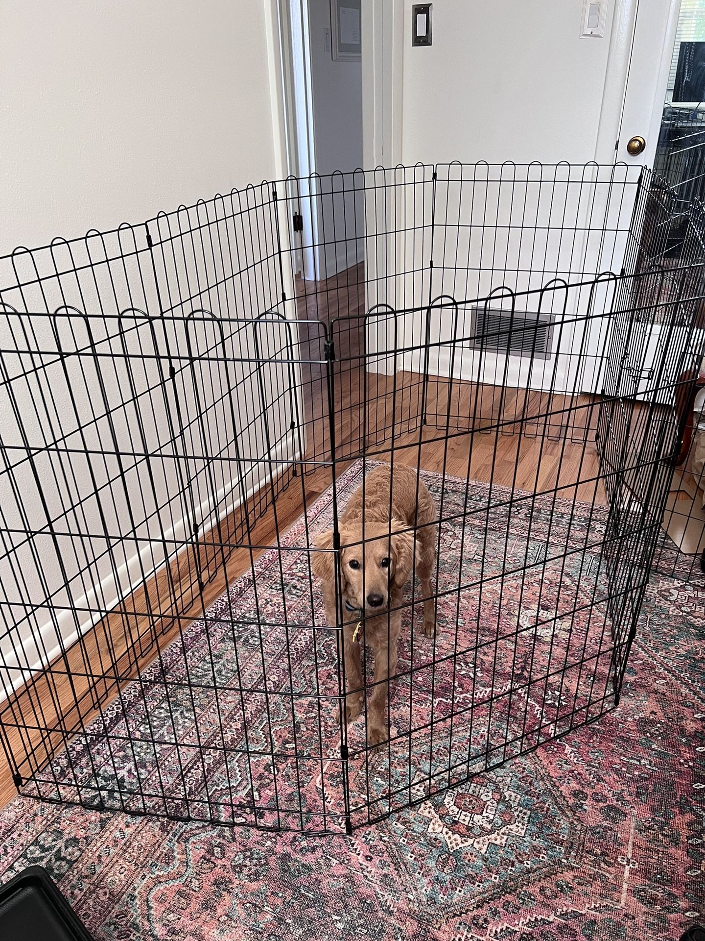 Dog Playpen