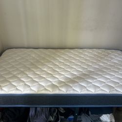 Twin Bed Like New
