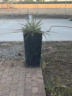 Two cement planters