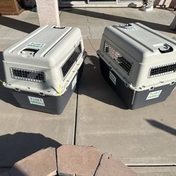 IATA Approved Dog Kennels