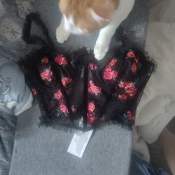 For Love And Lemons Bustier NWT Embroidery Roses