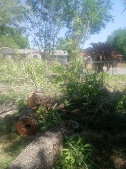 Small Medium And Large