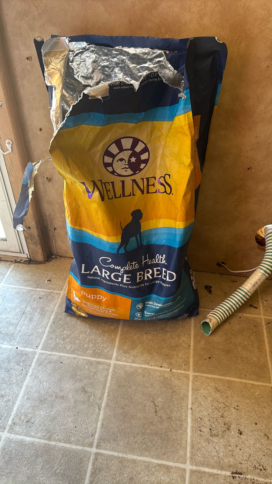 Dog Food