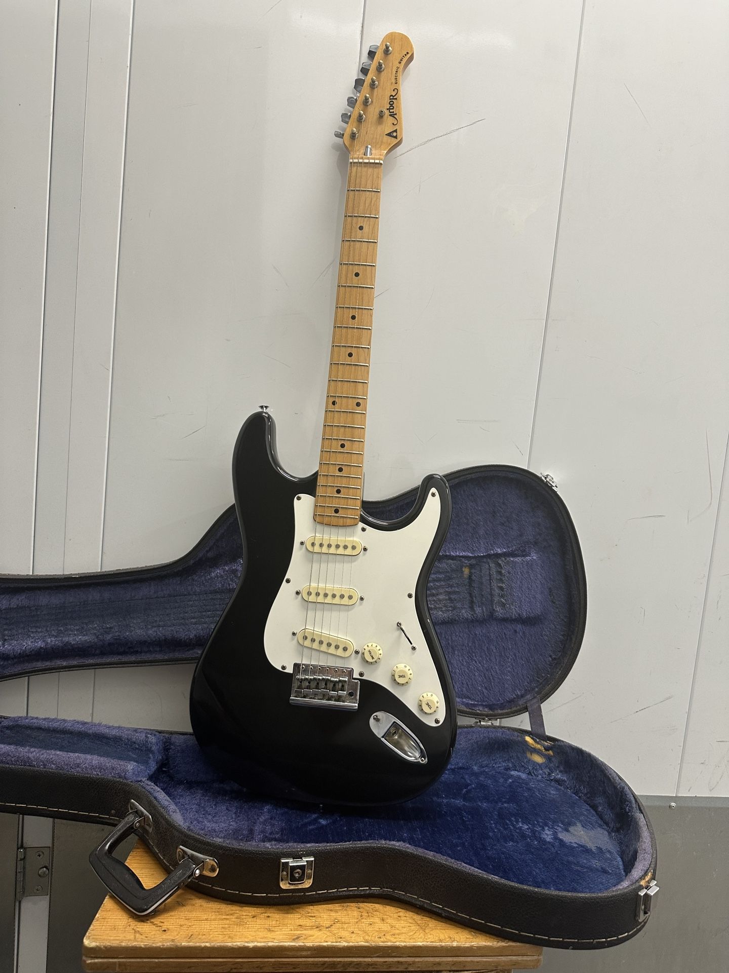 Arbor Electric Guitar