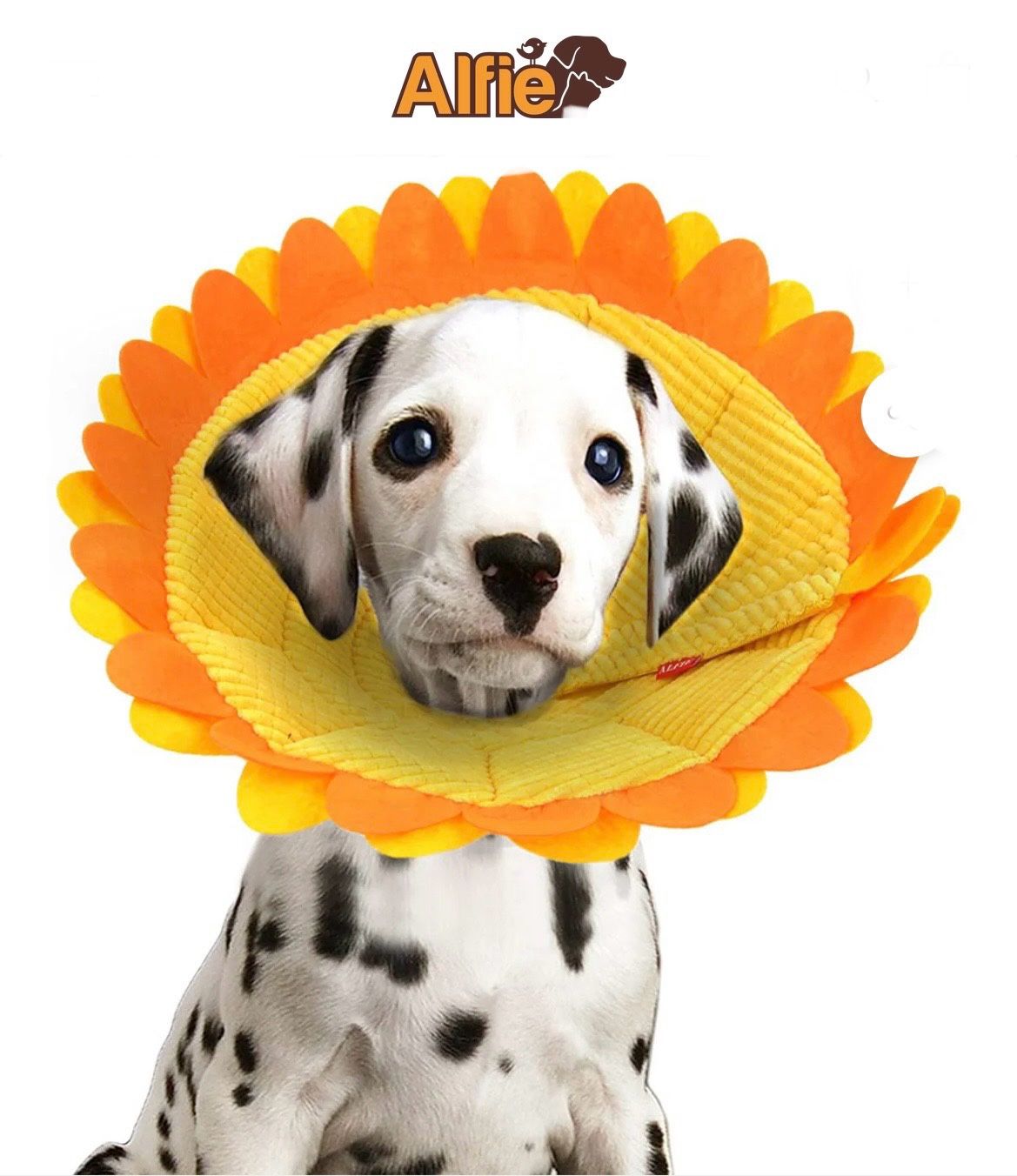 Alfie Pet Noah Recovery Collar•Sunflower •Ideal for injuries, rashes and post surgery. Sizes L, XL and XXL Dog Sunflower Style