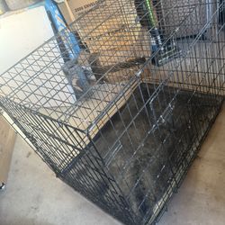 Dog cage 