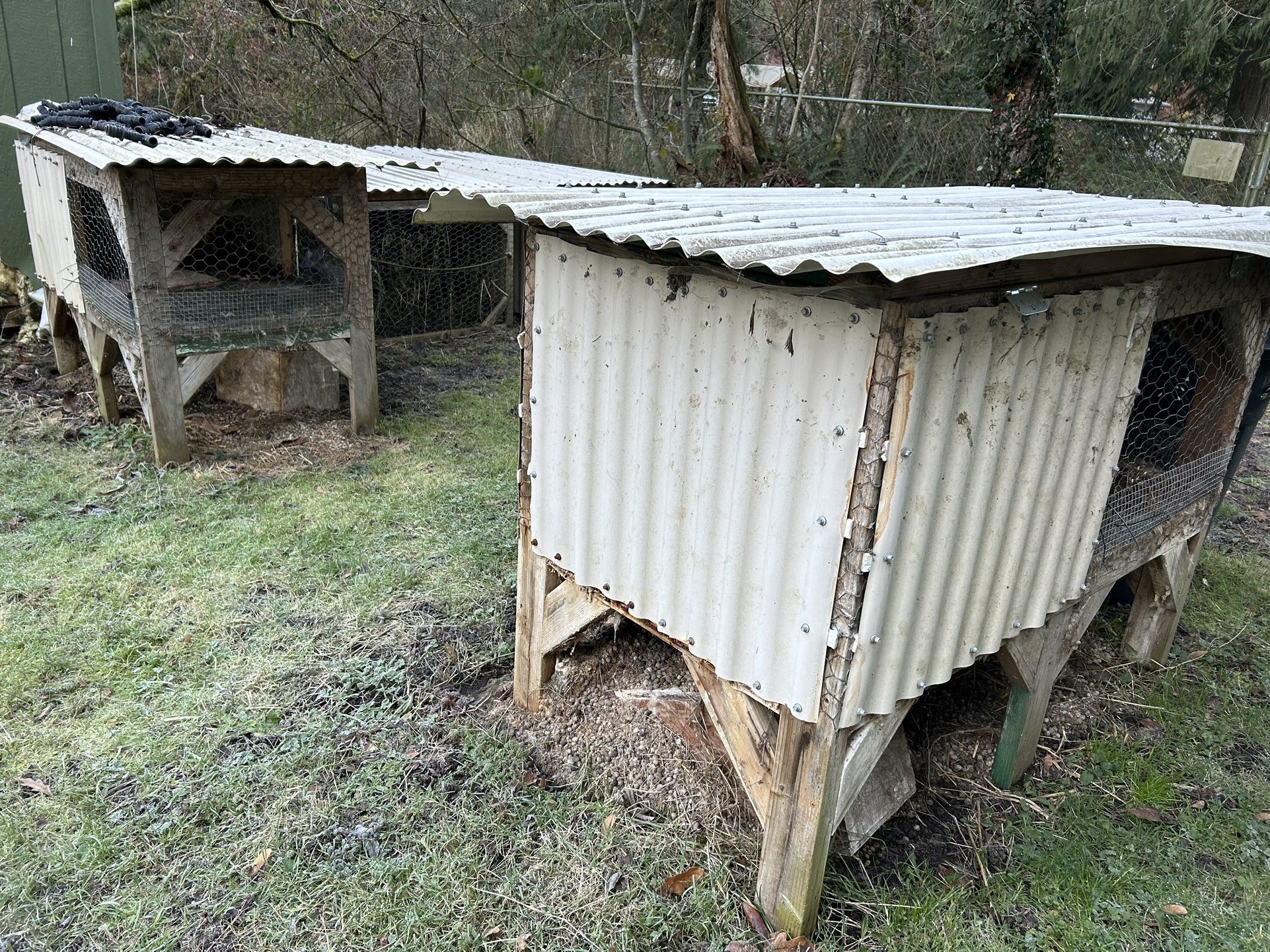 Pet Bunny Hutch