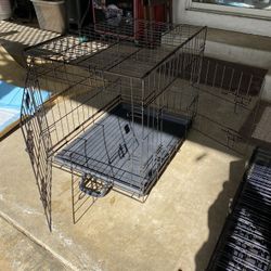 Dog Kennel 