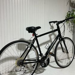 Bike "29"