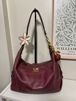 coach hobo bag