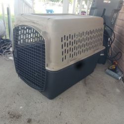 Dog Kennel 