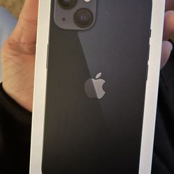 iPhone 13