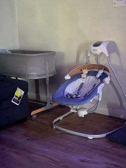 Bassinet and swing