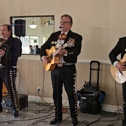 Mariachi Guitars For Sale