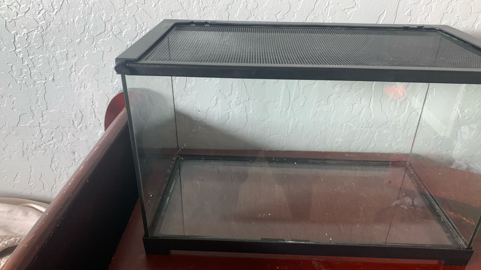 Lizard Cage