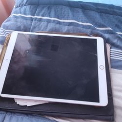 Apple Ipad