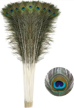 Soarer Long Peacock Feathers Bulk 32-35inch 90Pcs Feathers for Crafting
Natural Green Peacock Feathers,Decorative Large Feathers For Tall vase, DIY Cr