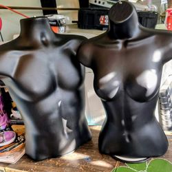 Set Of Torso Mannequins 