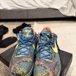 Kobe 6s 