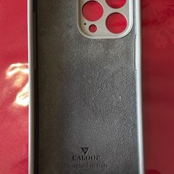 iPhone 12 Pro Max Case (grey/green color)