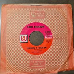 BOBBY GOLDSBORO---THE STRAIGHT LIFE (1968)