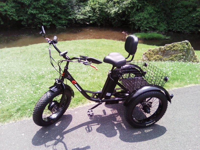 Could Be Yours Today Selling A 3 Wheels Ebike Electric ⚡