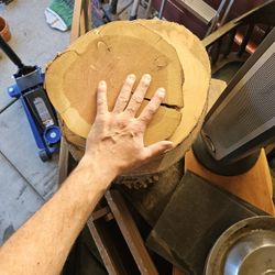 Beautiful Wood Slices 