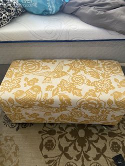 Chair And Chest Hummingbird