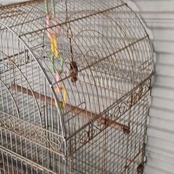 Bird Cage