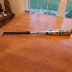 Baseball Bat DeMarini