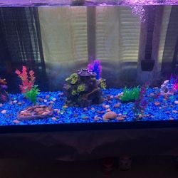 Aquarium