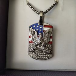 American Eagle  New Necklace 