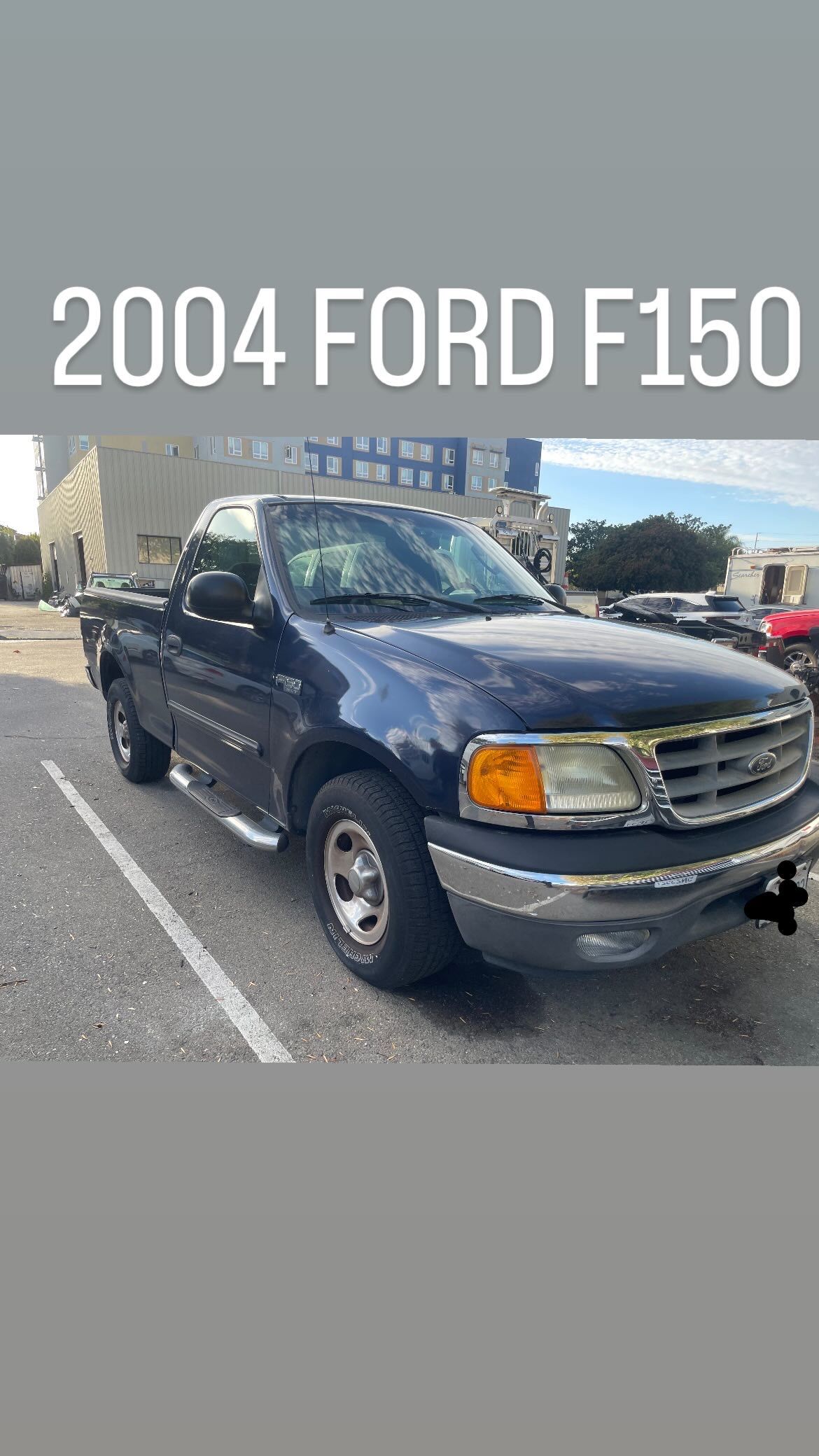 2004 Ford F-150