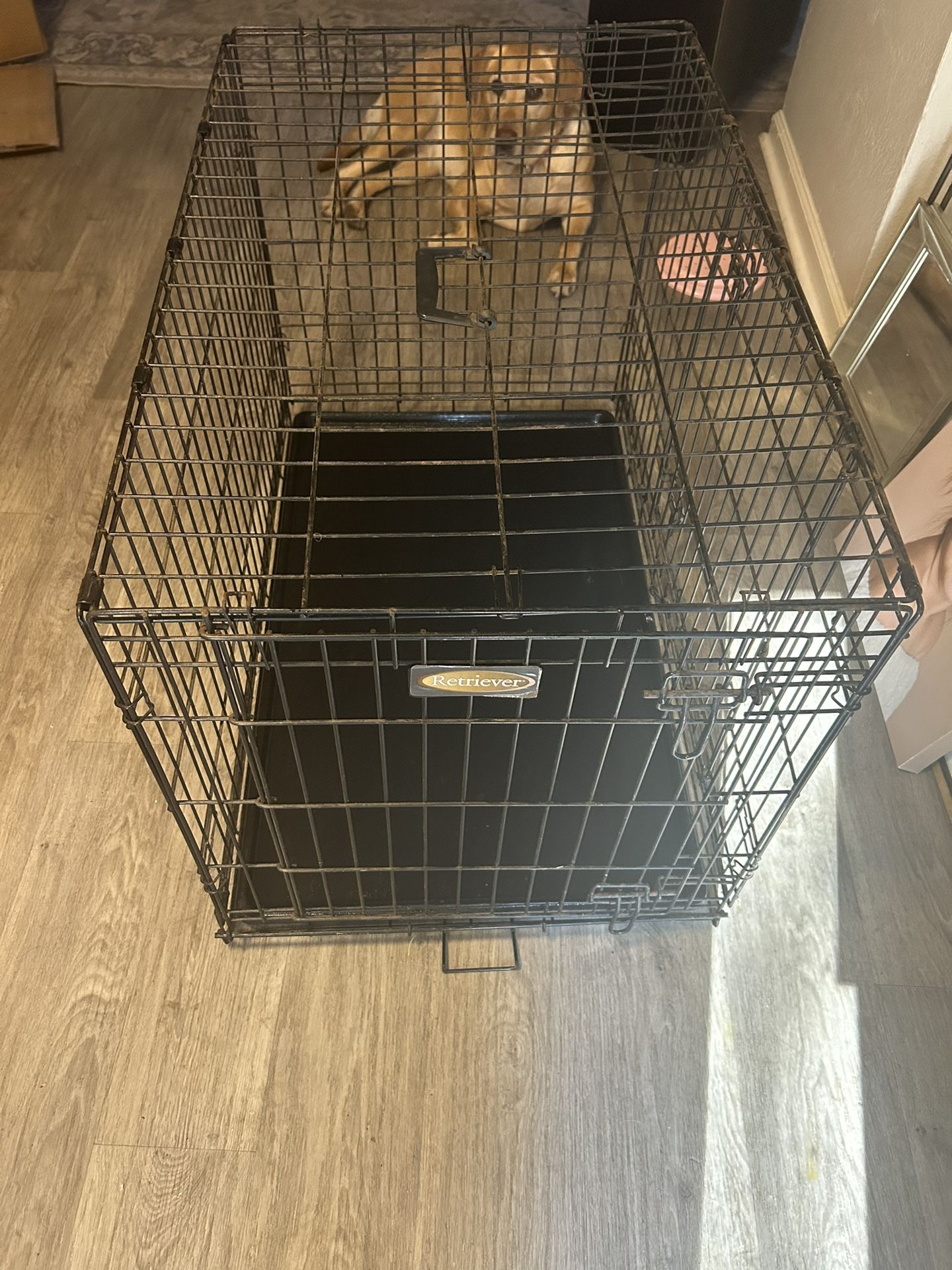 Retriever Dog Kennel Crate 36” X 22” X 24”