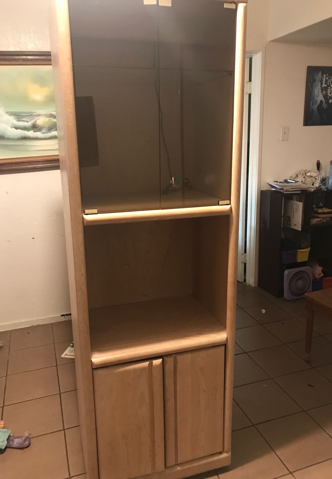 Curio Cabinet Bookshelf Display