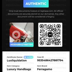 Ferragamo Luxury Handbags Authentic