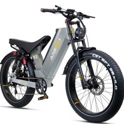Anioki 52V 1600peak Motor Power Electric Bicycle E-bike 