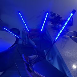 Plant Lamp With Timer 