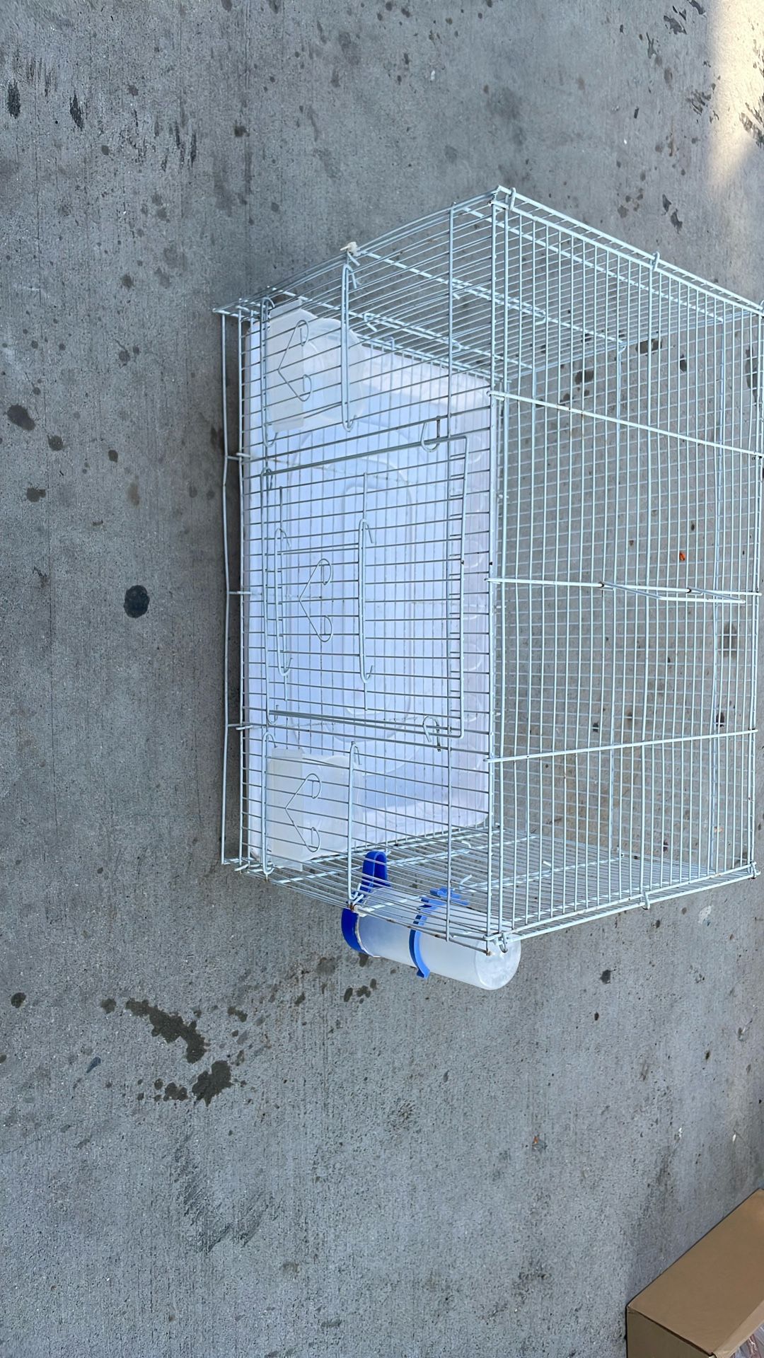 Bird Cage